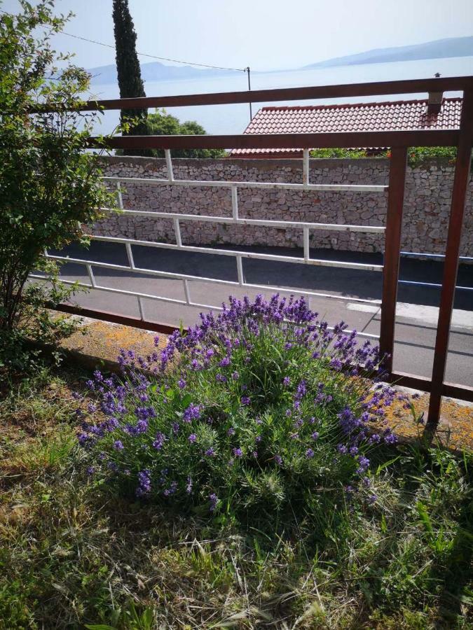 Apartmani Krijesnica Senj  Exteriör bild